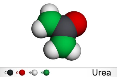 Urea, karbamit molekülü. Kozmetik alanında gübre olarak kullanılan bir karbonil grubu içeren nitrojen bileşiğidir. Moleküler model. 3B görüntüleme