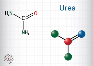 Urea, carbamide molecule. It is a nitrogenous compound containing a carbonyl group, is used as fertilizer, in cosmetics. Structural chemical formula and molecule model. Sheet of paper in a cage. Vector illustration clipart