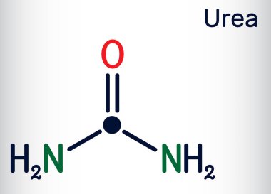 Urea, carbamide molecule. It is a nitrogenous compound containing a carbonyl group, is used as fertilizer, in cosmetics. Skeletal chemical formula. Vector illustration clipart