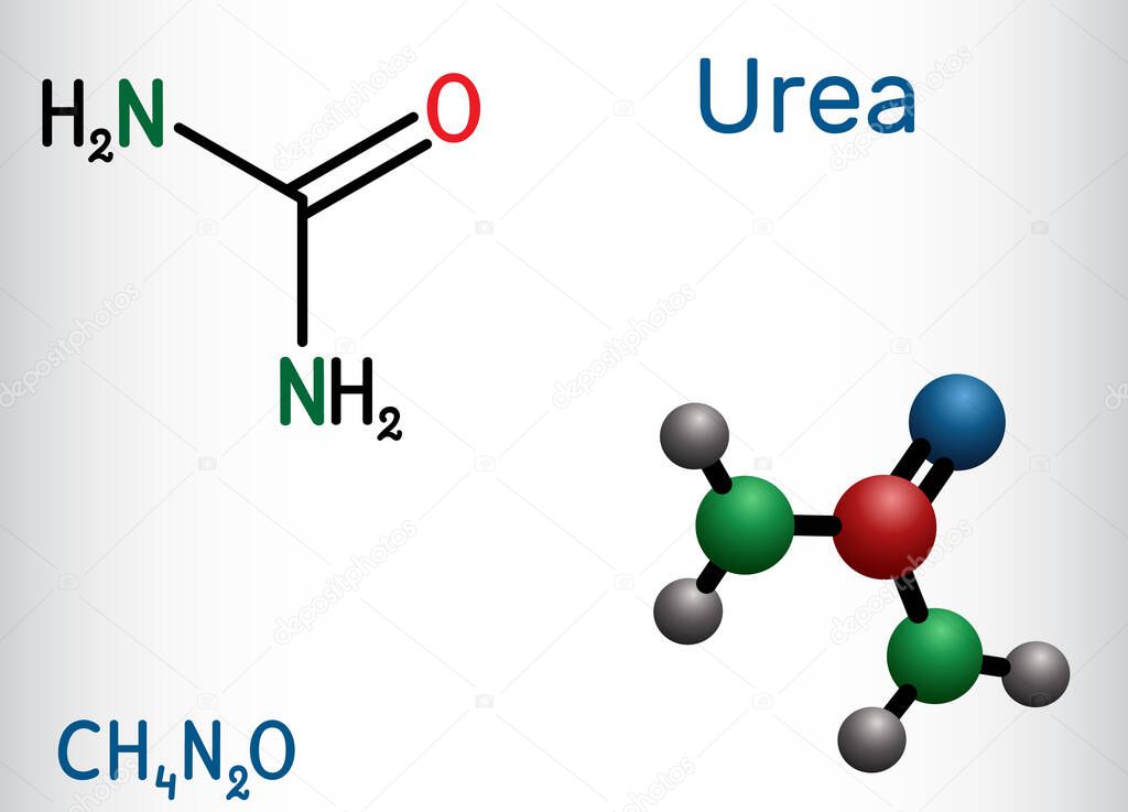 Urea, carbamide molecule. It is a nitrogenous compound containing a carbonyl group, is used as fertilizer, in cosmetics. Structural chemical formula and molecule model. Vector illustration