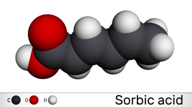 Sorbik asit, 2,4-hexadienoik asit, E200 molekülü. Bu hexadienoic ve çoklu doymamış yağ asidi. Sorbate 'in eşlenik asidi. Moleküler model. 3B görüntüleme