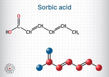 Sorbik asit, 2,4-hexadienoik asit, E200 molekülü. Bu hexadienoic ve çoklu doymamış yağ asidi. Sorbate 'in eşlenik asidi. Kafesteki bir kağıt parçası. Vektör illüstrasyonu