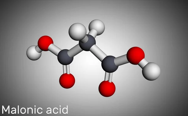 Malonic acid, dicarboxylic, propanedioic acid molecule. The ionized form its ester and salt, are known as malonate. Molecular model. 3D rendering