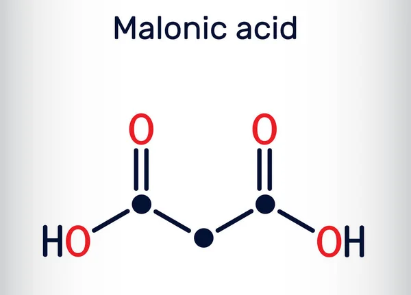 Ácido Malónico Dicarboxílico Molécula Ácido Propanodioico Forma Ionizada Éster Sal — Archivo Imágenes Vectoriales