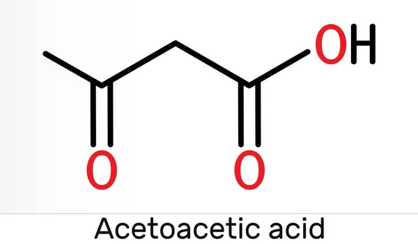 Acetoecetsav Diecetsav Oxobutánsav Molekula Egy Ketontest Acetoacetát Konjugált Sava Csontváz — Stock Fotó