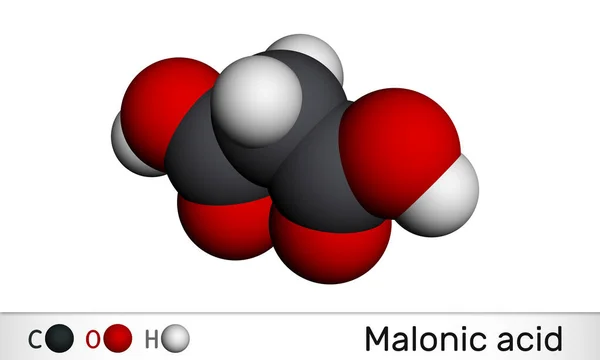 マロン酸 ジカルボキシル酸 プロパニジア酸分子 イオン化されたものはエステルと塩を形成し マロン酸塩と呼ばれる 分子モデル 3Dレンダリング — ストック写真