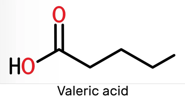 Молекула Валеріани Пентанової Кислоти Або Валеріату Хімічна Формула Скелета Ілюстрація — стокове фото