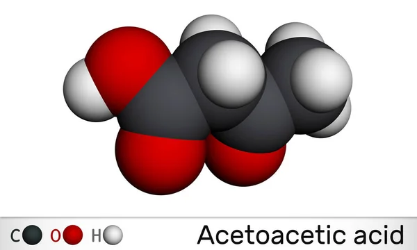 Acetossigsäure Diessigsäure Oxobutansäuremolekül Ist Ein Ketonkörper Konjugatsäure Eines Acetoacetats Molekulares — Stockfoto