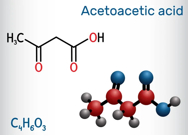 Acetoecetsav Diecetsav Oxobutánsav Molekula Egy Ketontest Acetoacetát Konjugált Sava Szerkezeti — Stock Vector