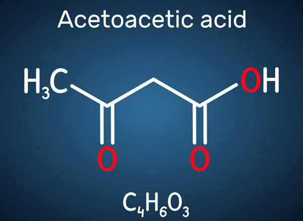 Acetoacetic Acid Diacetic Oxobutanoic Acid Molecule Ketone Body Conjugate Acid — Stock Vector