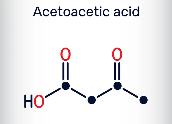 Οξικό Οξύ Διοξικό Οξοβουτανοϊκό Οξύ Μόριο Είναι Σώμα Κετόνης Συζυγές — Διανυσματικό Αρχείο
