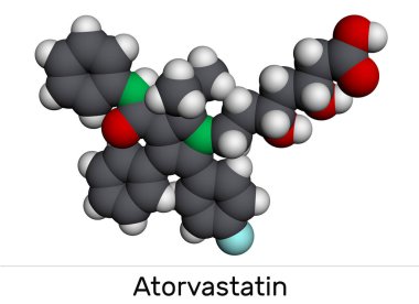 Atorvastatin, statin molekülü. Kan kolesterolünün azaltılması ve kardiyovasküler hastalıkların önlenmesi için kullanılır. Moleküler model. 3B görüntüleme