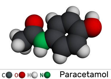 Parasetamol, asetaminofen molekülü. Bu bir opioid olmayan ağrı kesici ve anti-piretik etken. Moleküler model. 3 boyutlu görüntüleme. Görüntü