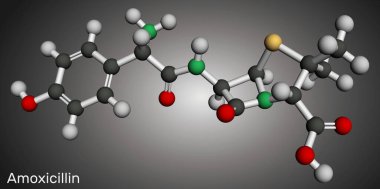 Amoxicillin drug molecule. It is beta-lactam antibiotic. Molecular model. 3D rendering. Illustration clipart