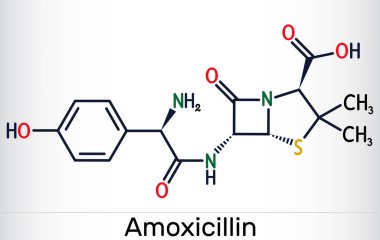 Amoksisilin ilaç molekülü. Beta-lakttam antibiyotiği. İskelet kimyasal formülü. Vektör illüstrasyonu