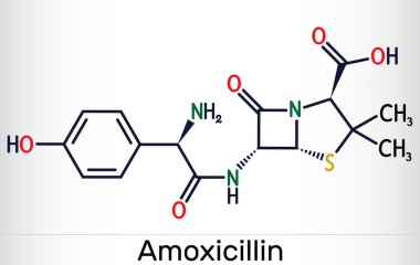 Amoxicillin drug molecule. It is beta-lactam antibiotic. Skeletal chemical formula. Vector illustration clipart