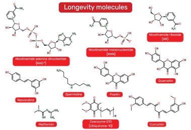 Uzun ömürlü moleküller. NAD +, nicotinamide mononükleotide (NMN), nicotinamide riboside (NR), spermidine, resveratrol, fisetin, quercetin, metformin, coenzyme Q10, curcumin