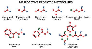 Nöroaktif probiyotik metabolitler: kısa zincirli yağ asitleri, SCFA 'lar, amino asit metabolitleri. Asetik, propionik, bütirik, laktik asit, GABA, triptofan, indole-3-asetik asit, riboflavin