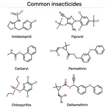 Yaygın böcek ilacı molekülü. Imidacloprid, fipronil, karbaril, permethrin, klorpyrifos, deltamethrin.