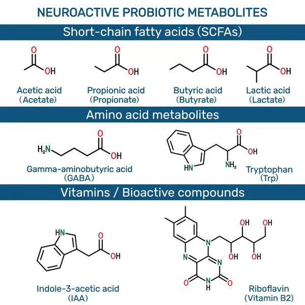 Nöroaktif probiyotik metabolitler: kısa zincirli yağ asitleri, SCFA 'lar, amino asit metabolitleri. Asetik, propionik, bütirik, laktik asit, GABA, triptofan, indole-3-asetik asit, riboflavin