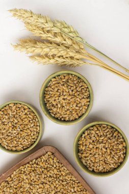 Yaylar ve beyaz zemin üzerine buğday taneleri. Yakın çekim. Top vie