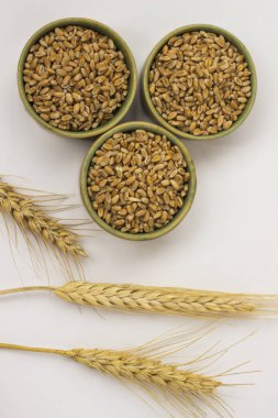 Yaylar ve beyaz zemin üzerine buğday taneleri. Yakın çekim. Top vie