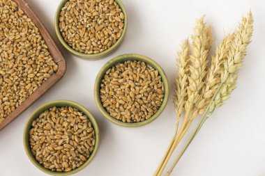 Yaylar ve beyaz zemin üzerine buğday taneleri. Yakın çekim. Top vie