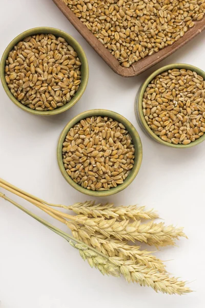 Yaylar ve beyaz zemin üzerine buğday taneleri. Yakın çekim. Top vie