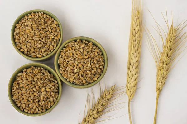 Yaylar ve beyaz zemin üzerine buğday taneleri. Yakın çekim. Top vie