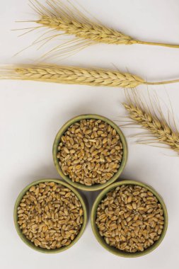 Yaylar ve beyaz zemin üzerine buğday taneleri. Yakın çekim. Top vie