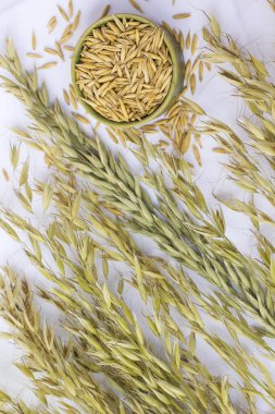 Yulaf bahar beyaz zemin üzerinde. Yakın çekim. Top vie