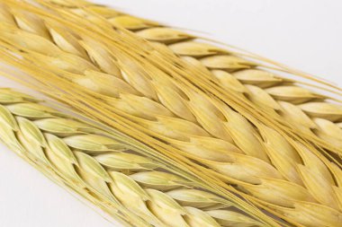 Beyaz bir arka plan üzerinde yaylar buğday. Yakın çekim. Top vie