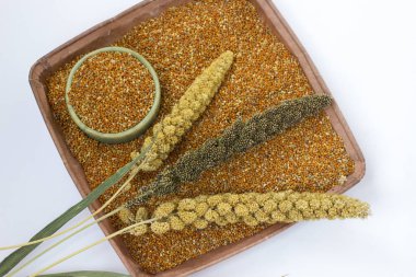 Darı kulak. Darı tahıllar ile bir kutu. Beyaz arka plan. Üstten görünüm