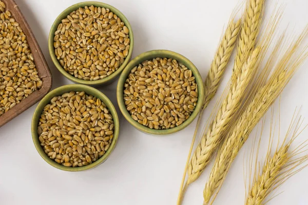 Yaylar ve beyaz zemin üzerine buğday taneleri. Yakın çekim. Top vie