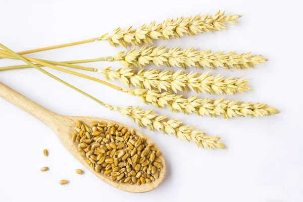 Пшеничне Зерно Дерев Яній Ложці Пшеничні Пружини Білий Фон Вид — стокове фото