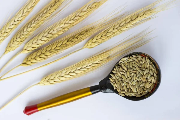 Spike Barley Grains Barley Spoon White Background Top View — Stock Photo, Image