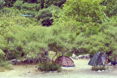 Güzel orman çadırlarda Turizm