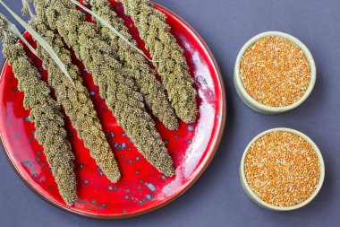 Dal darı Tarih kutularındaki kırmızı bir plaka ve tahıl darı. Siyah arka plan. Top vie