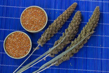 Yeşil darı kulak. İki kutu darı tahıllar ile. Mavi arka plan. Top vie