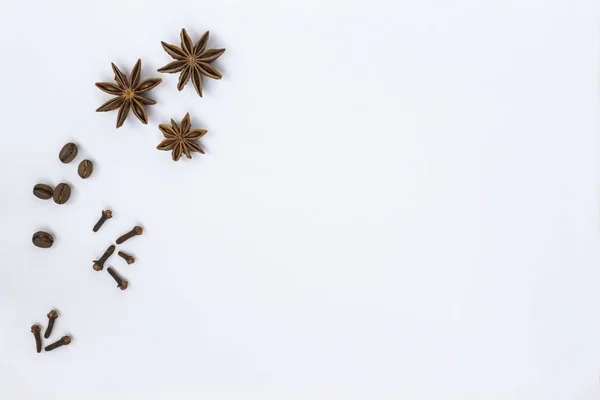 Especias Clavo Olor Anís Estrellado Granos Café Sobre Fondo Blanco — Foto de Stock