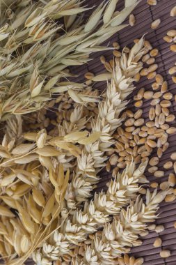 Kahverengi bir arka plan buğday ve yulaf yakın çekim