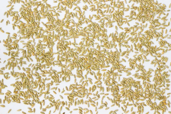 Grains Barley White Background Top Vie — Stock Photo, Image
