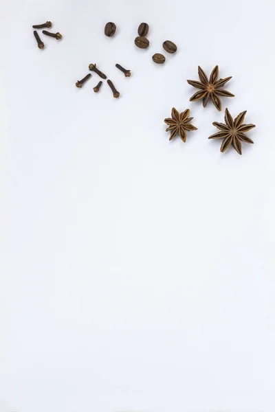 Especias Clavo Olor Anís Estrellado Granos Café Sobre Fondo Blanco — Foto de Stock