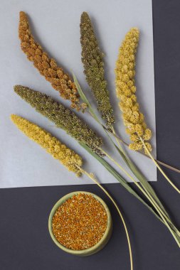 Dal darı siyah bir zemin üzerine.