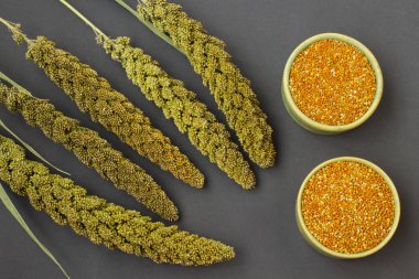 Yeşil siyah bir zemin üzerine darı dal. İki kutu darı tahıllar ile. Üstten görünüm