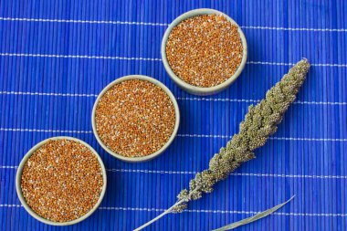 Yeşil darı kulak. Üç kutu darı tahıllar ile. Mavi arka plan. Üstten görünüm