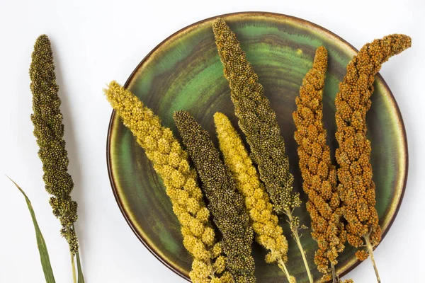 Sarı ve yeşil kulakları darı yeşil bir plaka üzerinde. Beyaz arka plan. Üstten görünüm