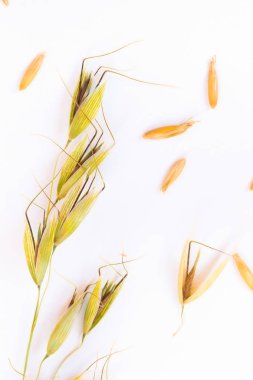 Yaylar ve buğday taneleri. Yakın çekim. Üstten görünüm