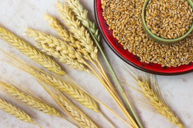 Yaylar ve buğday taneleri. Yakın çekim. Üstten görünüm