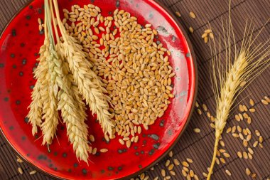 Yaylar ve buğday taneleri. Yakın çekim. Üstten görünüm